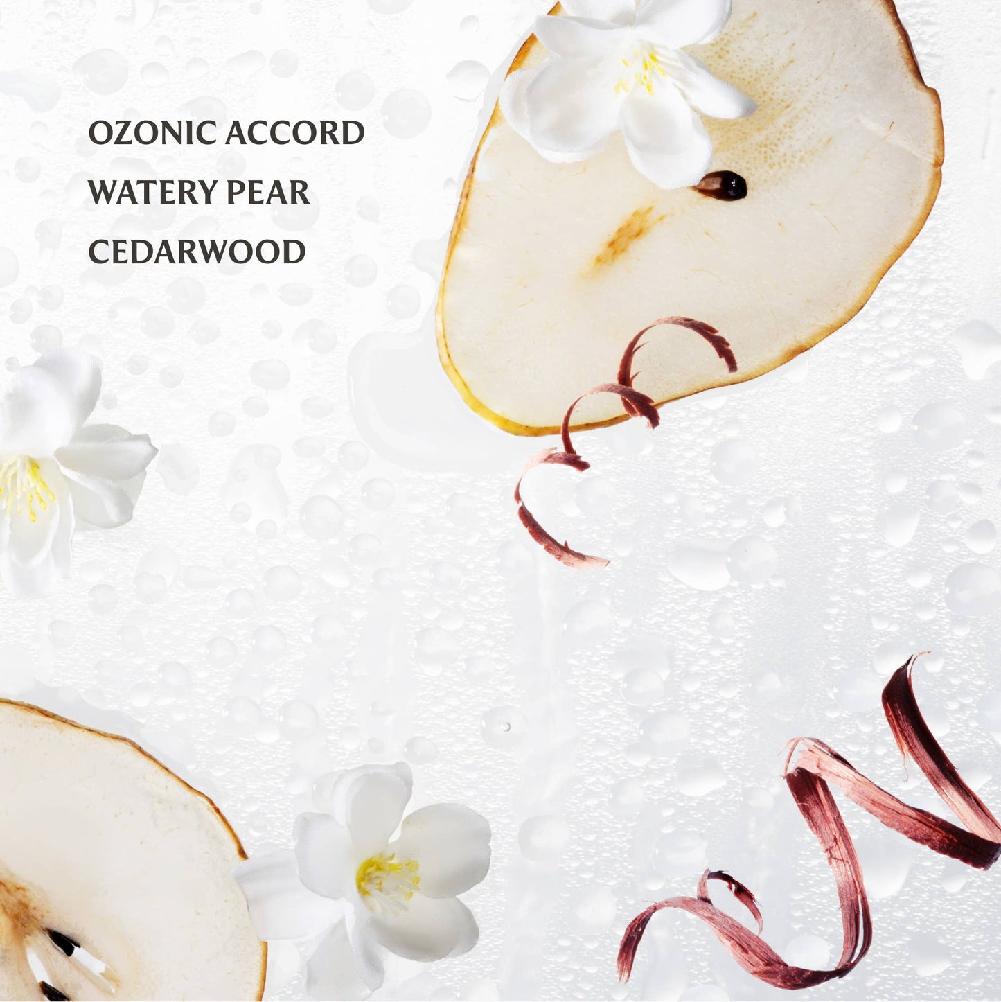 Touchland - Rainwater Power Mist Hydrating Hand Sanitizer