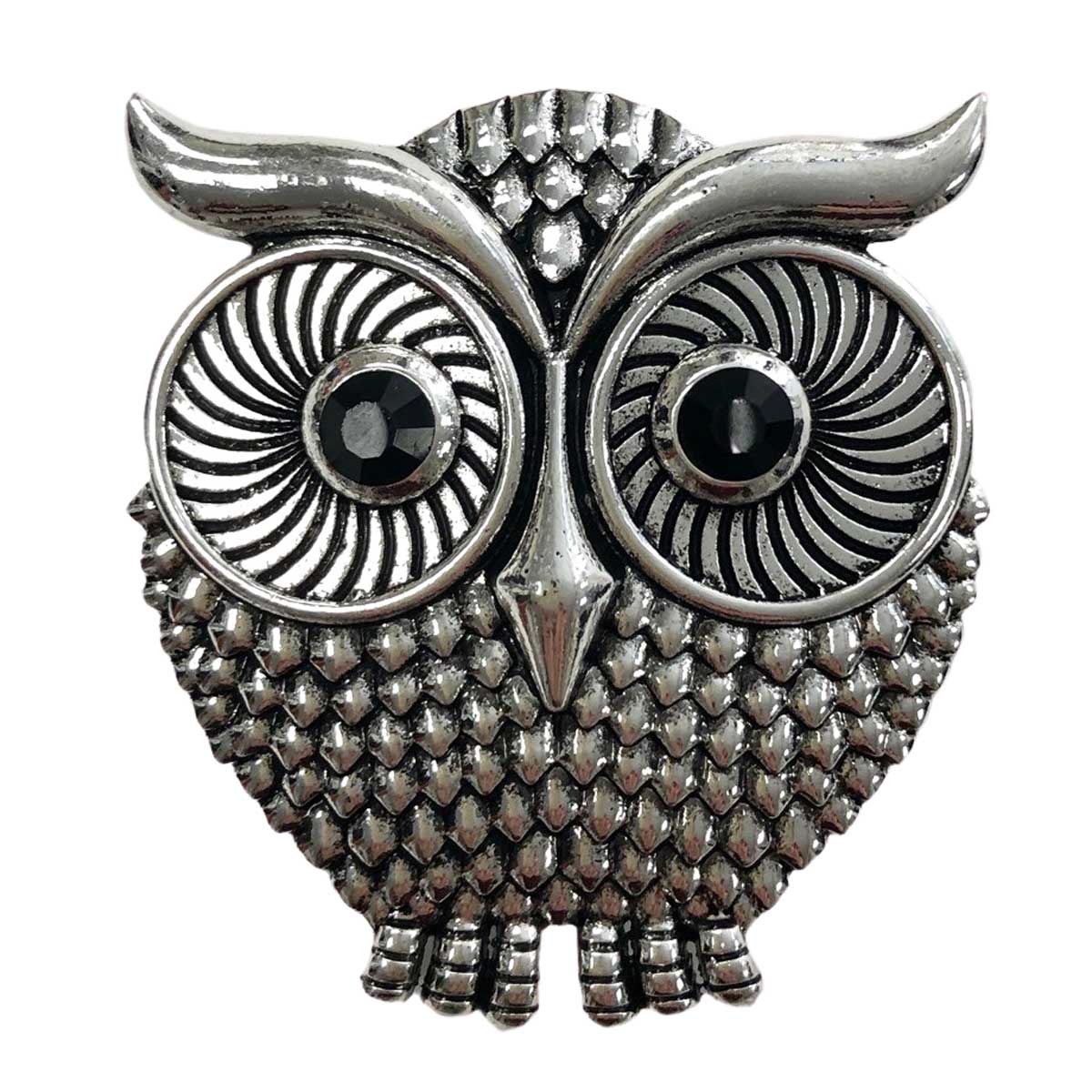 Large eyed wise owl. Magnetic Brooch for Scarves Artistic Sculptural shapes add a personality to absolutely anything you wish to put your stamp on! The Super Strong Magnet is enough for a jacket lapel! Use to hold a sarong or cardigan together.  Great to adorn a hat or to hold a scarf in place with Fabric Safe Magnet.